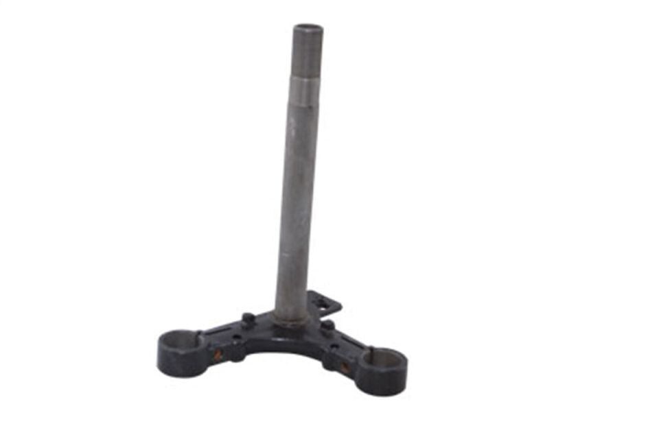 ALT PLATİN CYGNUS L