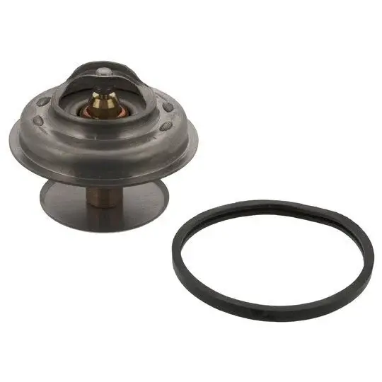 TERMOSTAT R25 ORJ