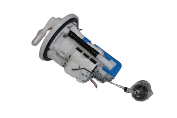 ŞAMANDIRA R25