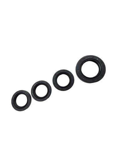 KEÇE SETİ CYGNUS L