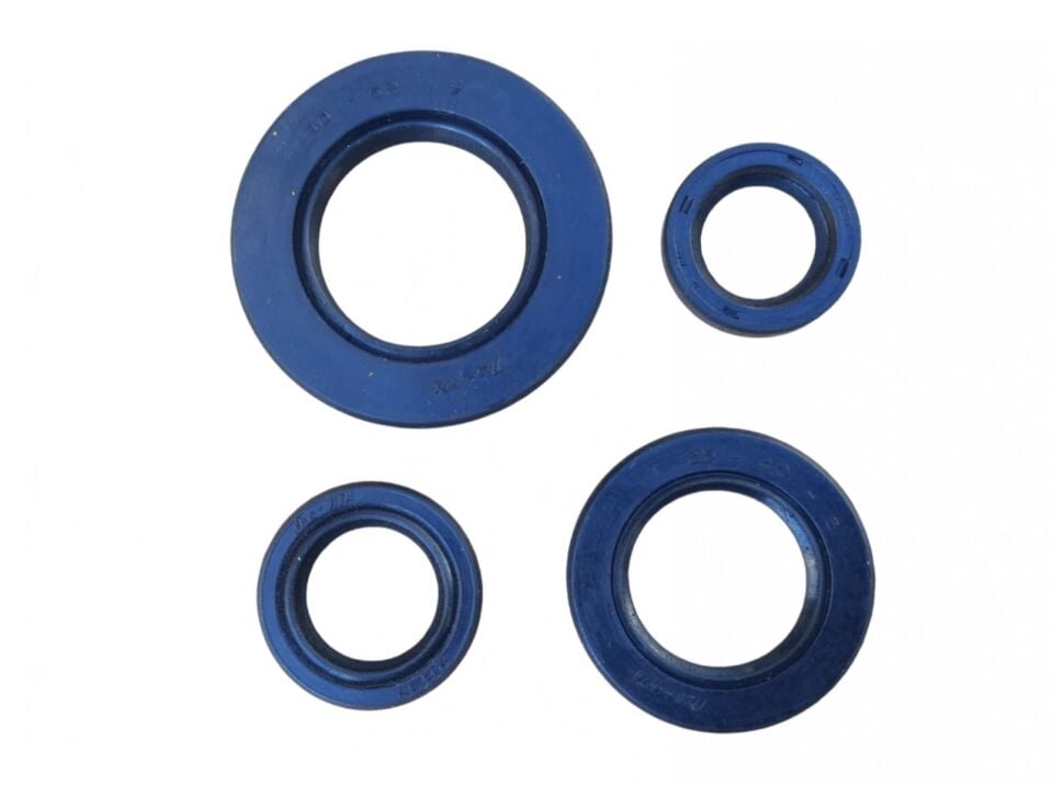 Tvs Yağ Keçe Seti 4 Lü Tvs Jupiter 125