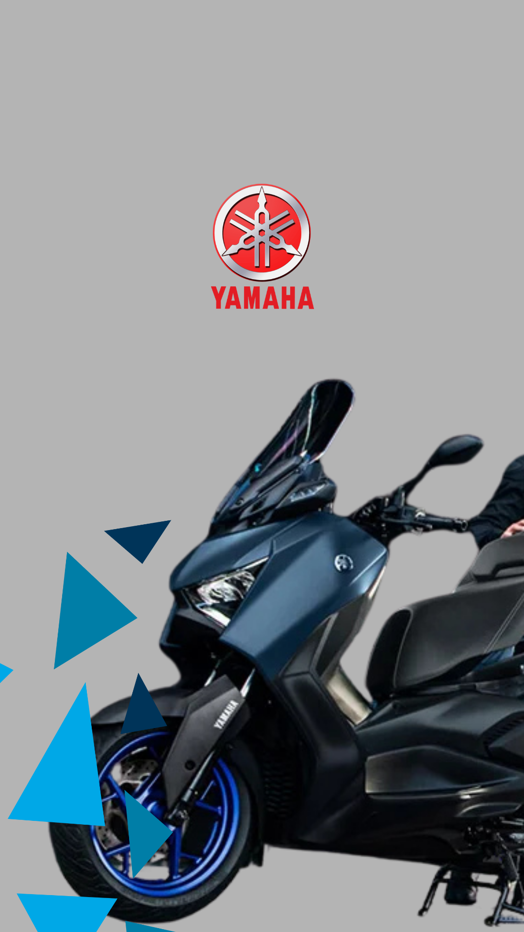 X-MAX 250